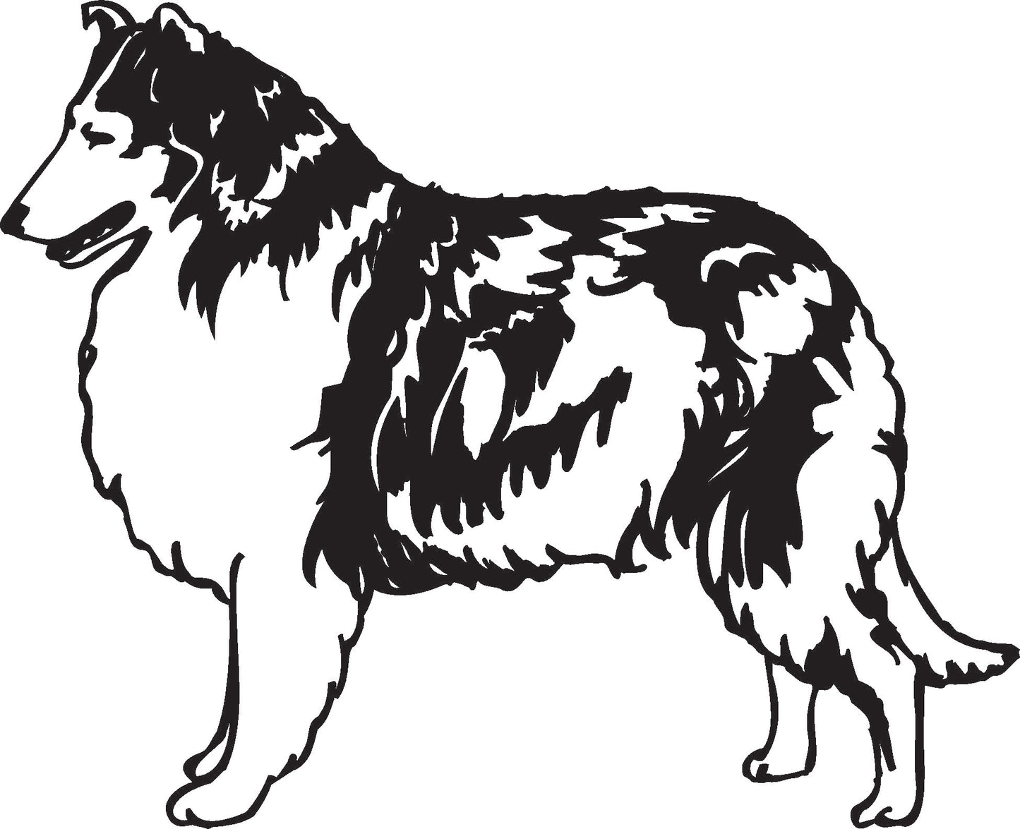 Collie vinyl Decal / Sticker