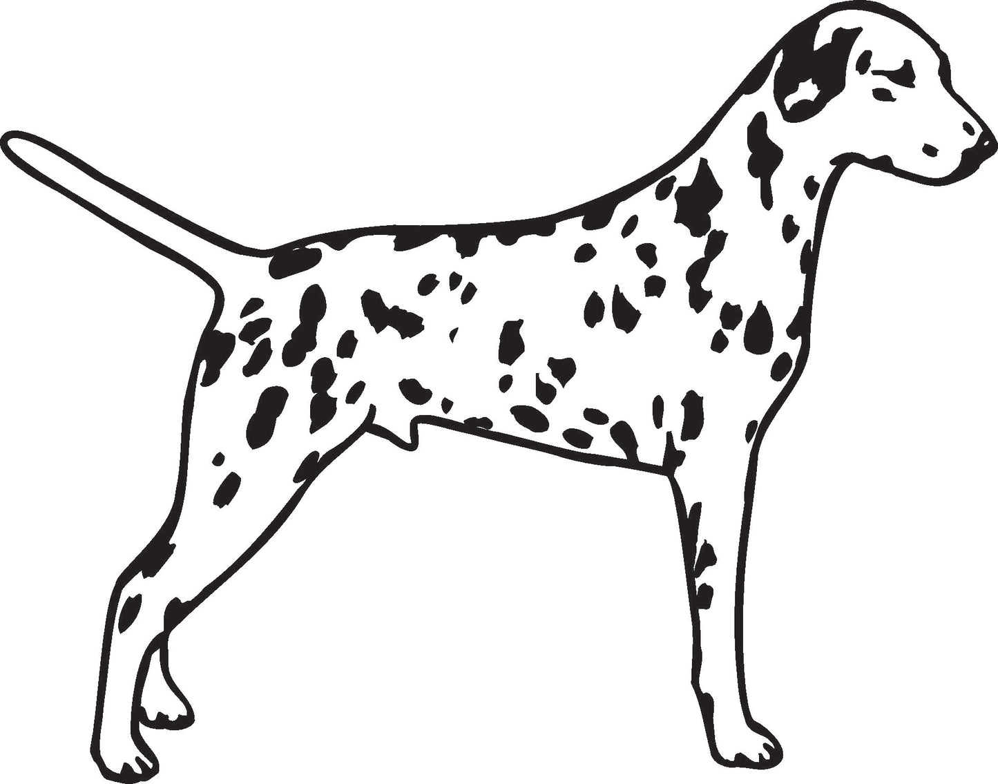 Dalmatian vinyl decal / sticker