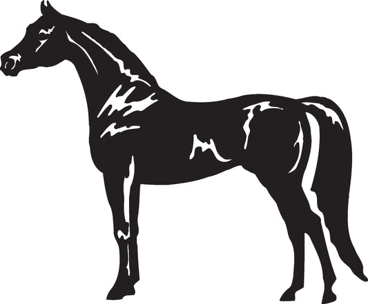 Arabian Horse Vinyl Decal / Sticker