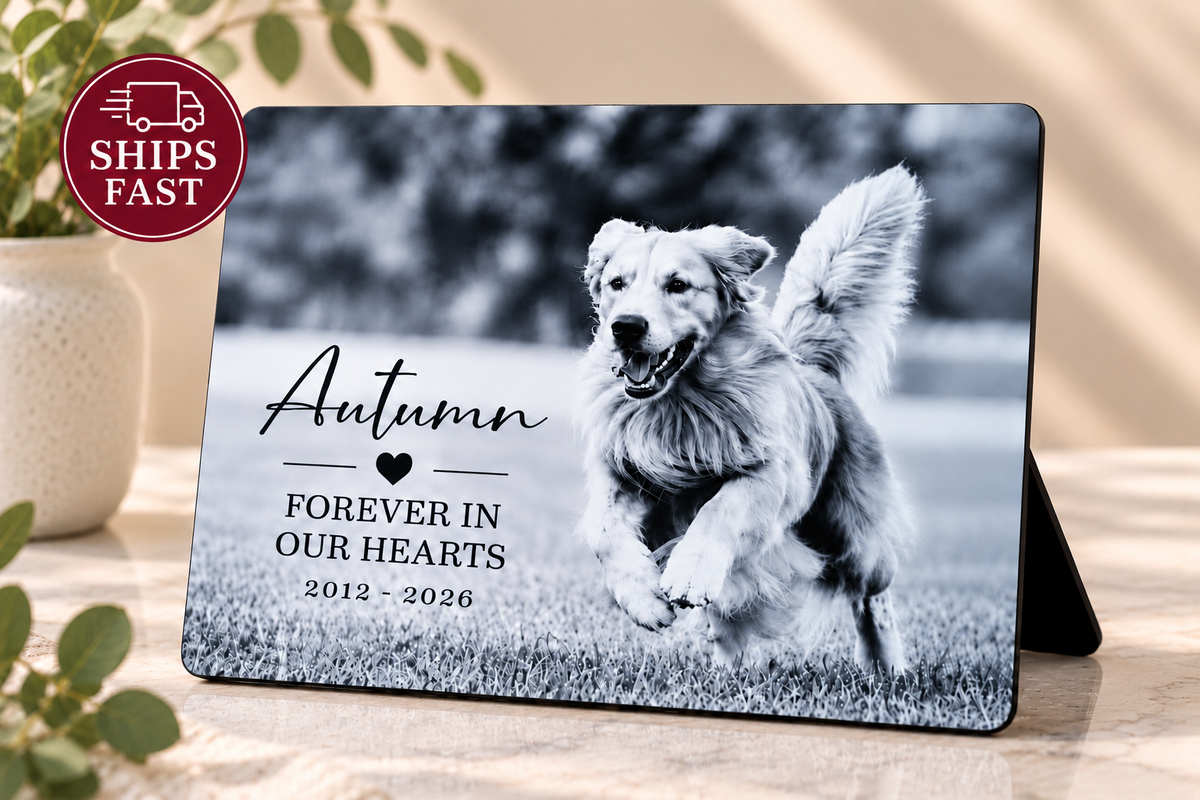 Personalized Pet Memorial Photo Board, Custom Dog, Cat, Horse or Pet Remembrance Gift, Pet Loss Keepsake, Rainbow Bridge Memorial Plaque