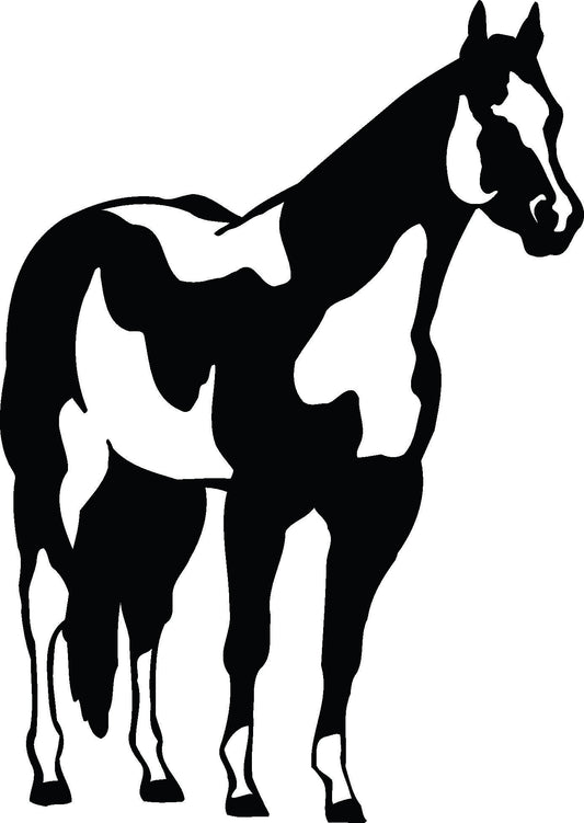 Paint Horse Decal / Sticker