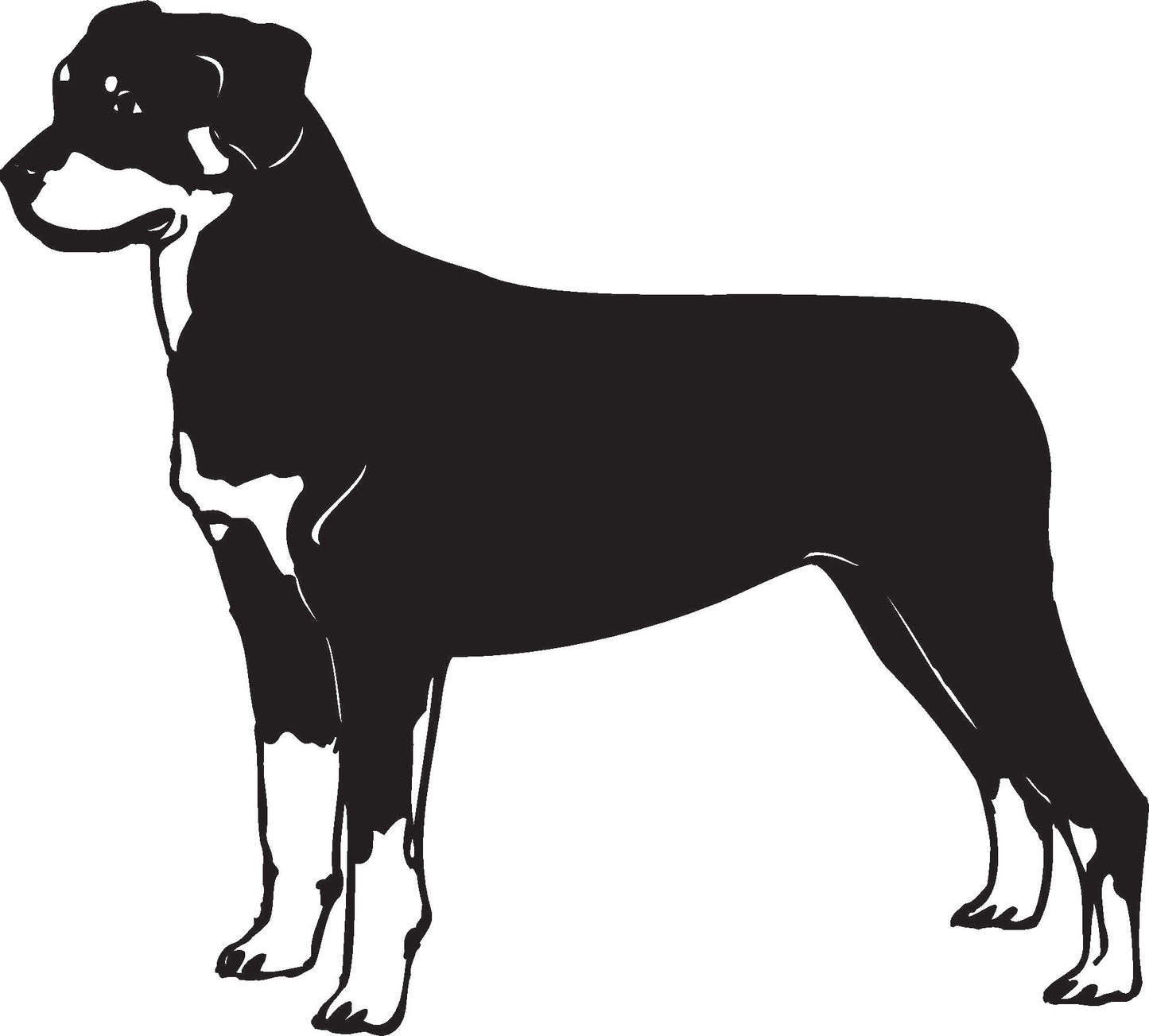 Rottweiler dog Decal / Sticker